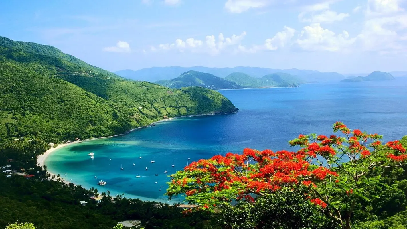 高效高精度电子